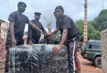Kindia : plus de 150 kg de chanvre indien saisis lors d’un contrôle routier