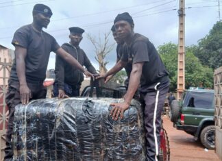 Kindia : plus de 150 kg de chanvre indien saisis lors d’un contrôle routier