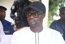 Guinée : une importante quantité de produits stupéfiants détruite à Tombolia sous contrôle judiciaire