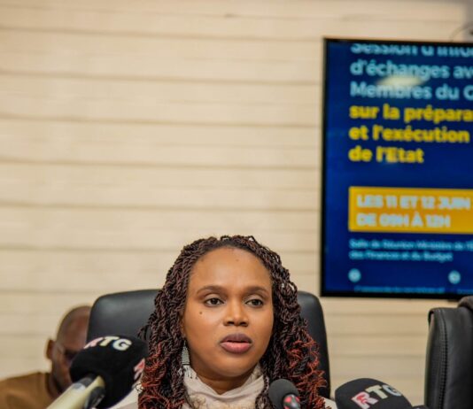Guinée : une série de nominations à la tête des institutions et départements publics