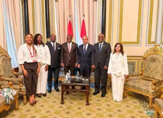 Guinée-Égypte : une nouvelle dynamique de coopération au cœur des échanges au Caire