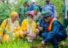 Kindia : la 2ᵉ édition de la campagne nationale de reboisement clôturée sous le signe de « Une Femme, Un Arbre »