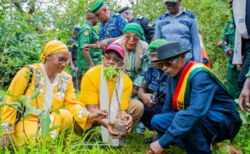 Kindia : la 2ᵉ édition de la campagne nationale de reboisement clôturée sous le signe de « Une Femme, Un Arbre »