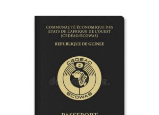 Passeports étrangers : la Guinée se classe 11e mondiale pour l’accueil
