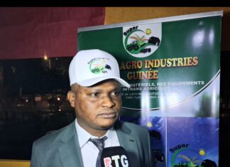 Agriculture en Guinée : Yaya Diakité ambitionne l’installation d’une chaîne de montage de machines et d’intrants agricoles