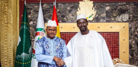 Audiences présidentielles : le Président Mamadi Doumbouya reçoit les parlementaires étrangers
