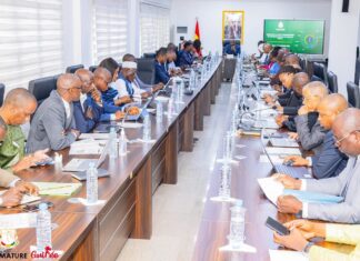 Guinée : Amadou Oury Bah préside la deuxième session du comité interministériel dédié à l’économie et à la transformation productive