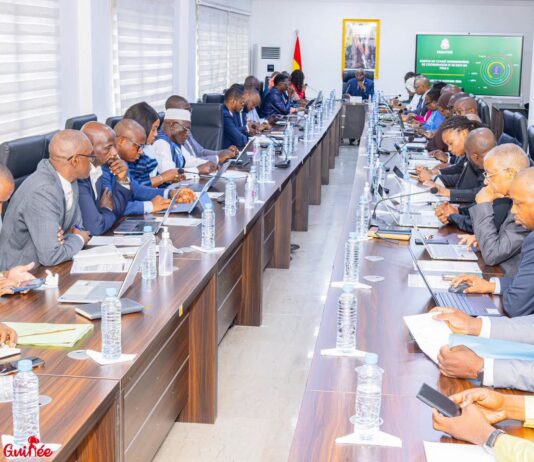 Guinée : Amadou Oury Bah préside la deuxième session du comité interministériel dédié à l’économie et à la transformation productive